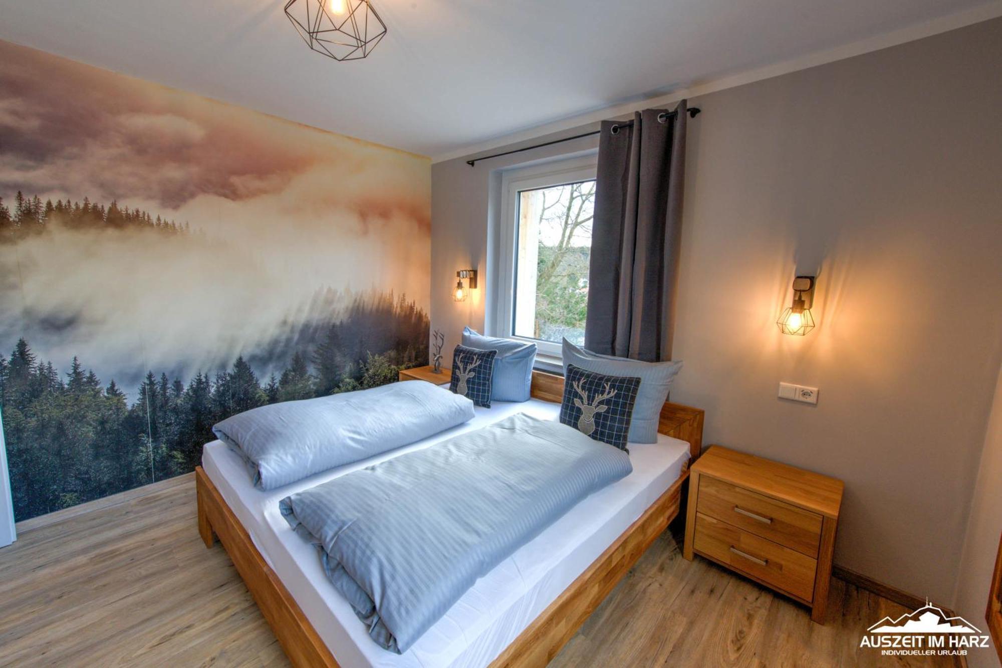 Auszeit-Im-Harz Haus 3 Wohnung 4 Braunlage Dış mekan fotoğraf
