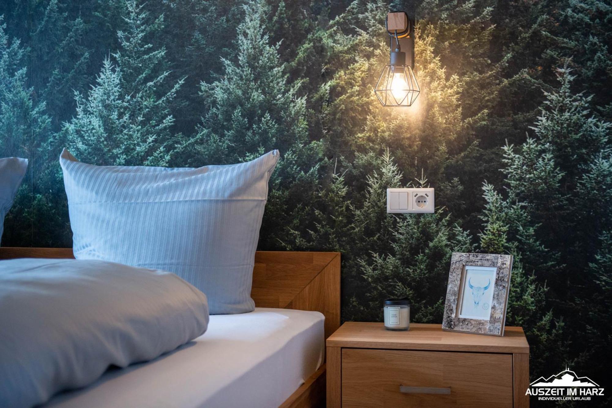 Auszeit-Im-Harz Haus 3 Wohnung 4 Braunlage Dış mekan fotoğraf
